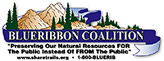 Logo Blueribbon 164x61